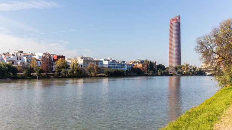 Los biólogos expertos avisan sobre el río Guadalquivir: «Los peces tenían niveles muy altos de cobre, manganeso y plomo»