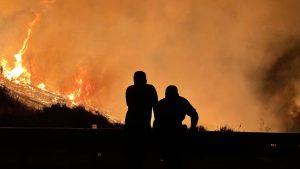 Los retos ambientales de España se multiplican: danas, incendios, agua y biodiversidad ponen al país a prueba