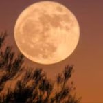 Luna de la Cosecha en septiembre 2026: disfruta el espectáculo con Saturno y Neptuno el 26 de septiembre