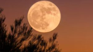 Luna de la Cosecha en septiembre 2026: disfruta el espectáculo con Saturno y Neptuno el 26 de septiembre