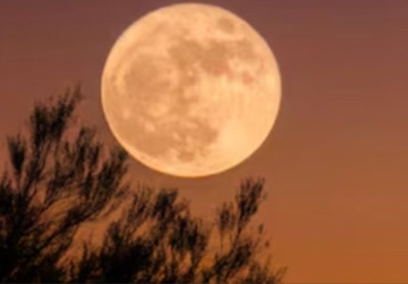 Luna de la Cosecha en septiembre 2026: disfruta el espectáculo con Saturno y Neptuno el 26 de septiembre