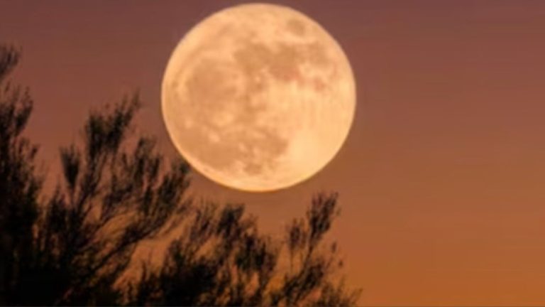 Luna de la Cosecha en septiembre 2026: disfruta el espectáculo con Saturno y Neptuno el 26 de septiembre