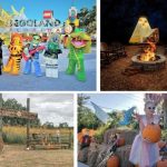Magia, calabazas y fantasmas: los mejores eventos de Halloween en Central Florida