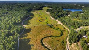 Massachusetts quitó dos presas del río Coonamessett, en Cape Cod, y convirtió antiguos campos de arándanos en 22,7 hectáreas de humedales, donde ya han vuelto más de 200 especies de plantas nativas