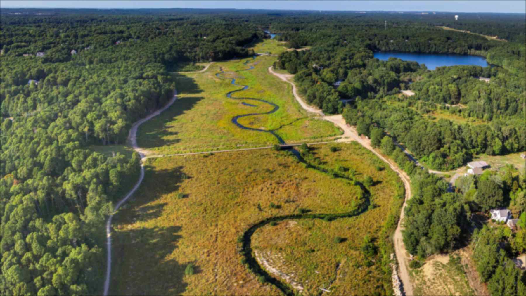 Massachusetts quitó dos presas del río Coonamessett, en Cape Cod, y convirtió antiguos campos de arándanos en 22,7 hectáreas de humedales, donde ya han vuelto más de 200 especies de plantas nativas