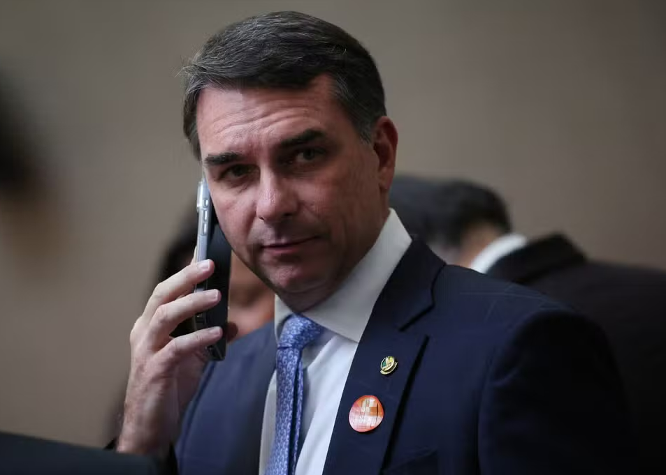 O eleitor adestrado O eleitor adestrado