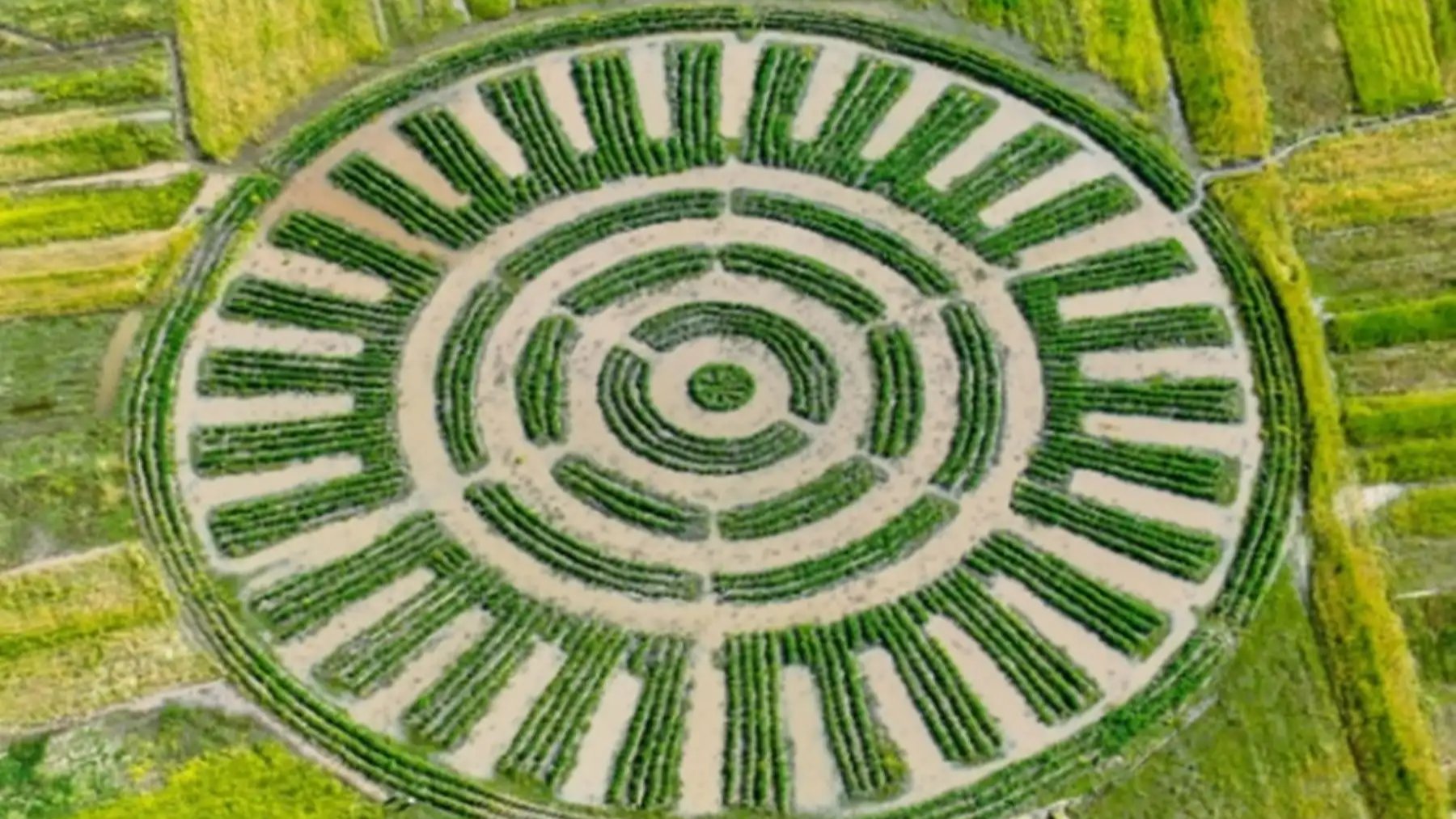 Perú — Recuperan en Perú una técnica agrícola ancestral a 3.800 metros de altitud que ya da su primera cosecha de papas y protege los cultivos de las heladas sin motores ni cables Perú — Recuperan en Perú una técnica agrícola ancestral a 3.800 metros de altitud que ya da su primera cosecha de papas y protege los cultivos de las heladas sin motores ni cables