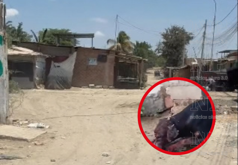 Piura: indignación por muerte de Cielito, perrita atacada con un machete en El Indio