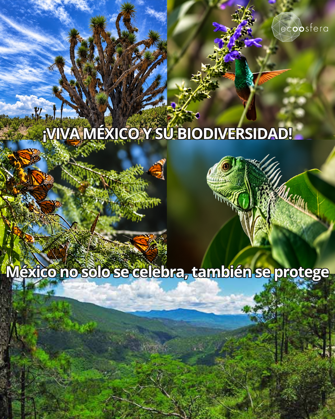 Por qué México es uno de los 5 países más biodiversos del planeta