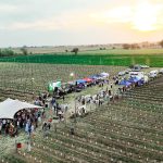 Primavera entre vides: el encanto de los vinos pampeanos se celebró en Trenel