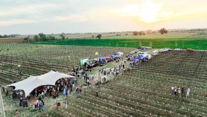 Primavera entre vides: el encanto de los vinos pampeanos se celebró en Trenel