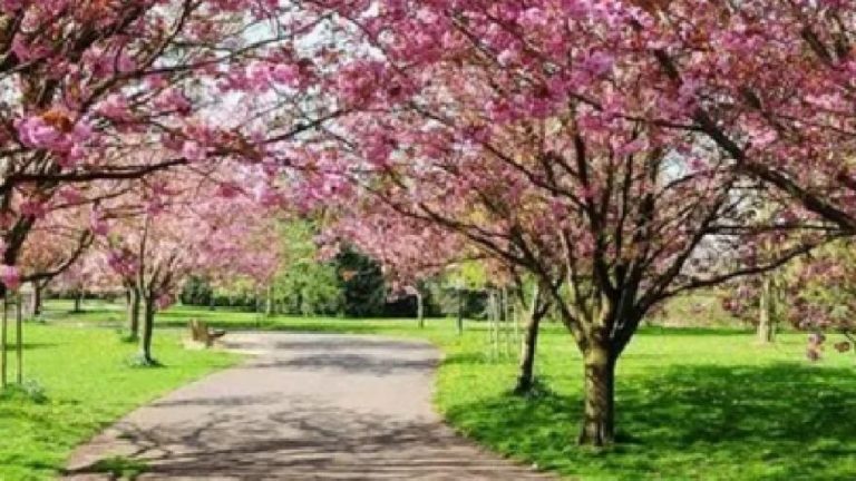 Pronóstico del clima en Buenos Aires: temperaturas subirán de 5°C a 25°C durante la primera semana de primavera