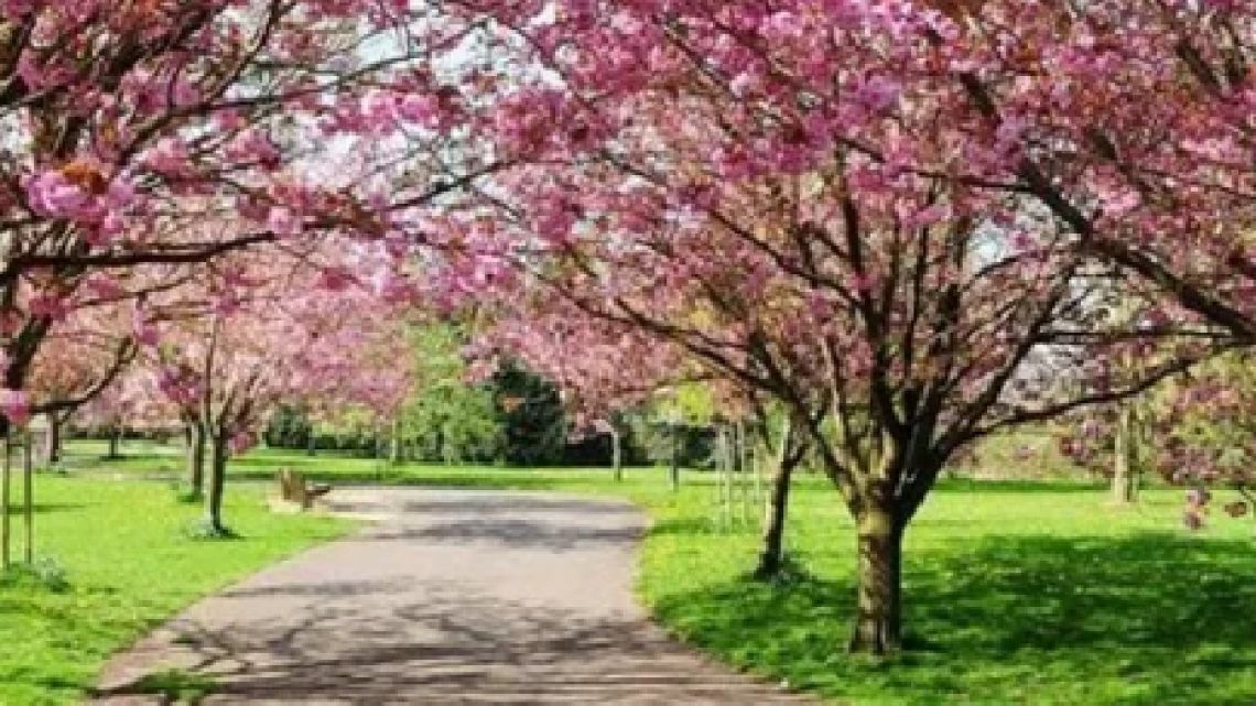 Pronóstico del clima en Buenos Aires: temperaturas subirán de 5°C a 25°C durante la primera semana de primavera Pronóstico del clima en Buenos Aires: temperaturas subirán de 5°C a 25°C durante la primera semana de primavera