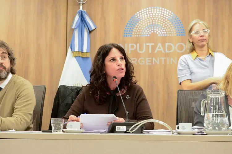 Referentes de bibliotecas, teatros y canales culturales expusieron en Diputados