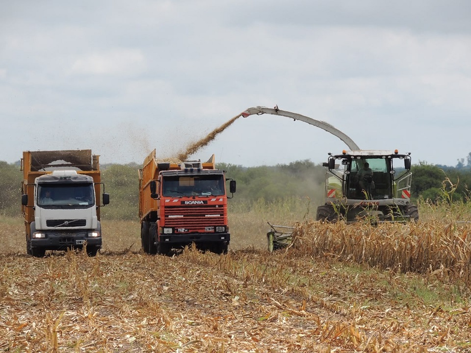 Se puso en vigencia el nuevo régimen ambiental para la actividad productiva en Entre Ríos Se puso en vigencia el nuevo régimen ambiental para la actividad productiva en Entre Ríos