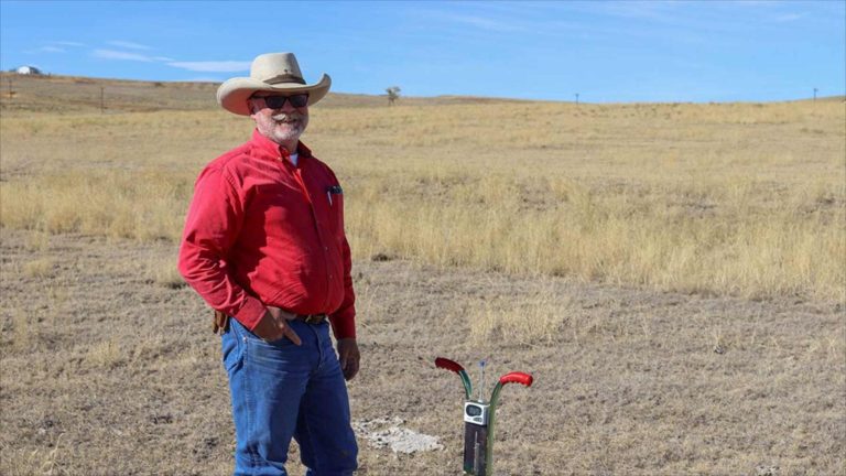 Un matrimonio compró un rancho en Colorado en 2014 y moviendo sus vacas de un prado a otro ha pasado de 29 a 37 especies de aves, con el doble de aves de pastizal detectadas en seis años