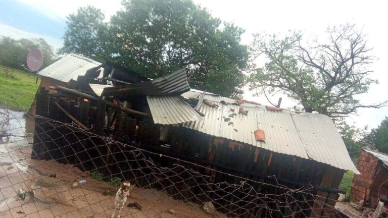 Video: temporal ocasiona daños en distritos de Concepción