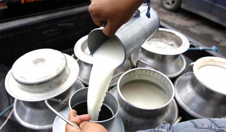 Alertan que el precio de la Leche aumentará hasta los Bs 15 por litro ||  El sector lechero advierte que el ajuste responde al encarecimiento del diésel y de los insumos para la producción.