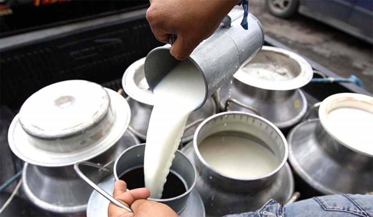 Alertan que el precio de la Leche aumentará hasta los Bs 15 por litro ||  El sector lechero advierte que el ajuste responde al encarecimiento del diésel y de los insumos para la producción.