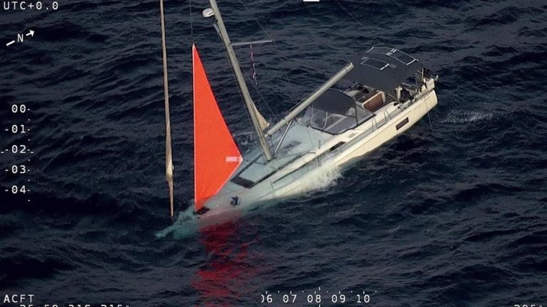 Cachalotes hunden un yate en el Pacífico Sur; rescatan a 4 tripulantes