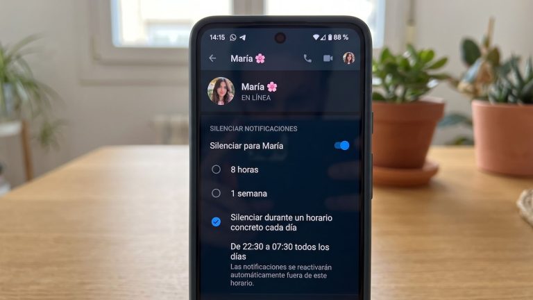 Horarios para las notificaciones de WhatsApp: la nueva función que llegaría solo para determinados usuarios