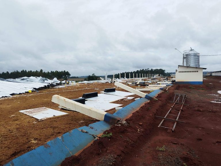 Temporal también causó daños en cultivos: Caaguazú, la zona más afectada